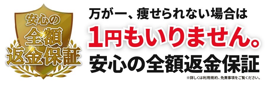 f:id:kaminarimon2015:20160802094843j:plain