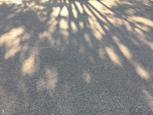 f:id:kaminashiko:20180618074114j:plain f:id:kaminashiko:20180618074114j:plain