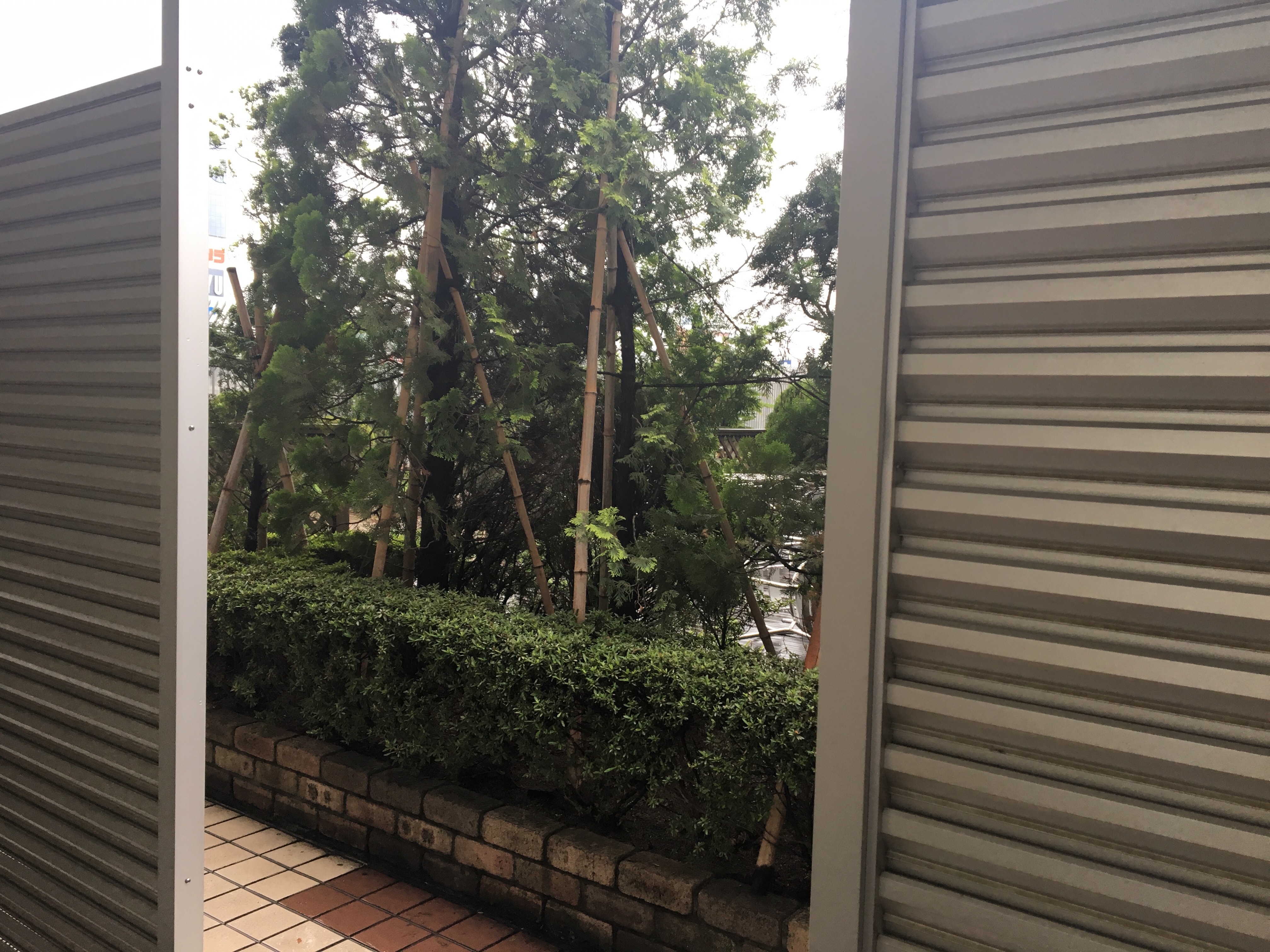 f:id:kaminashiko:20180625001257j:plain