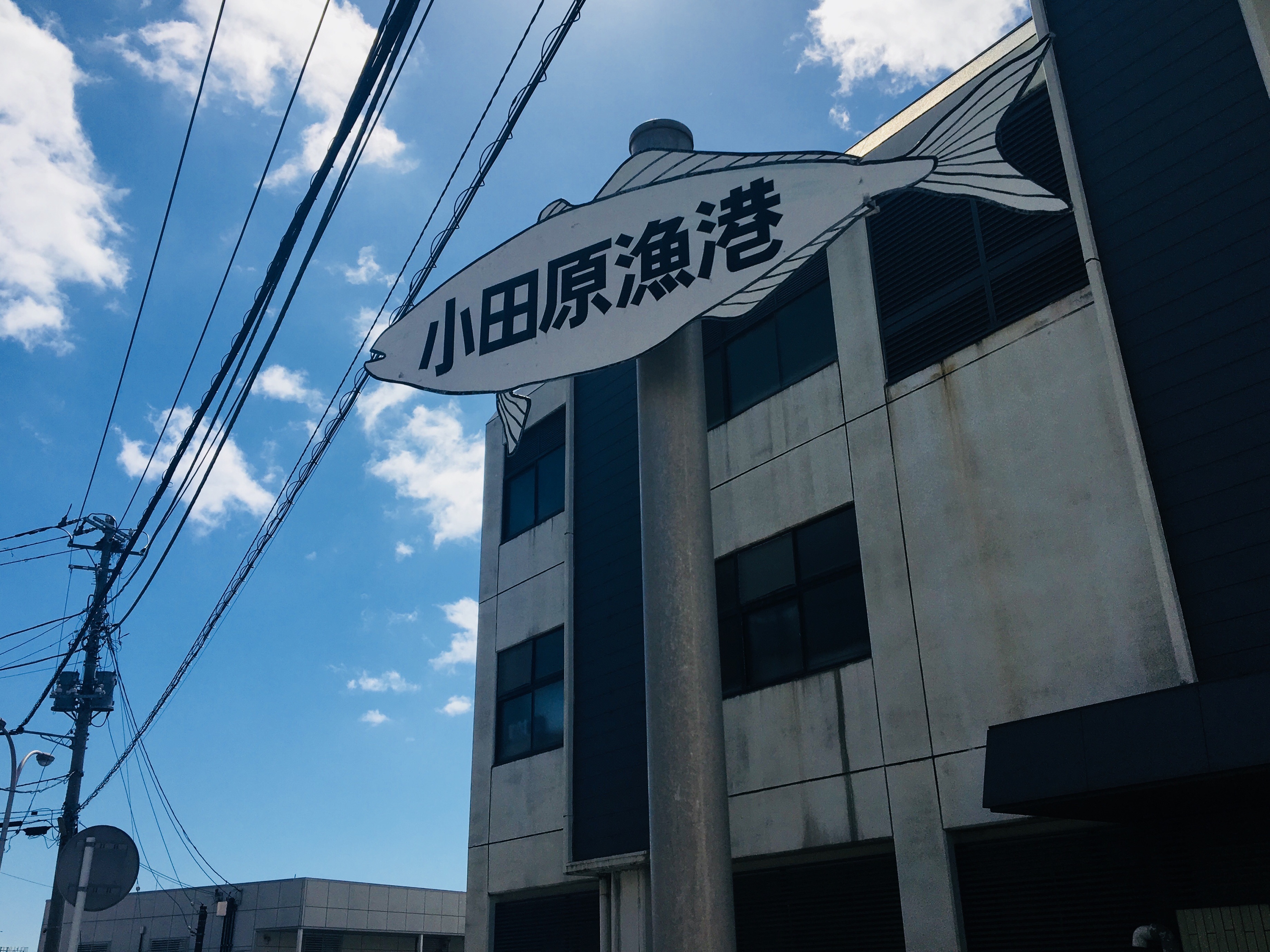 f:id:kaminashiko:20180706000833j:plain