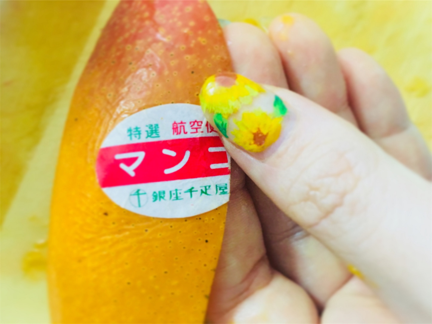 f:id:kaminashiko:20180719054307j:image
