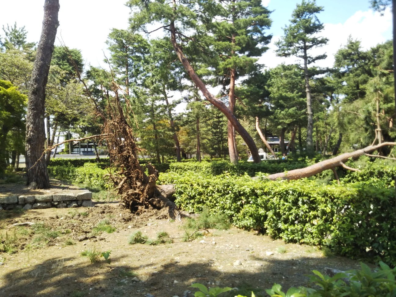 f:id:kaminavikyoto:20180908191449j:image f:id:kaminavikyoto:20180908191449j:image