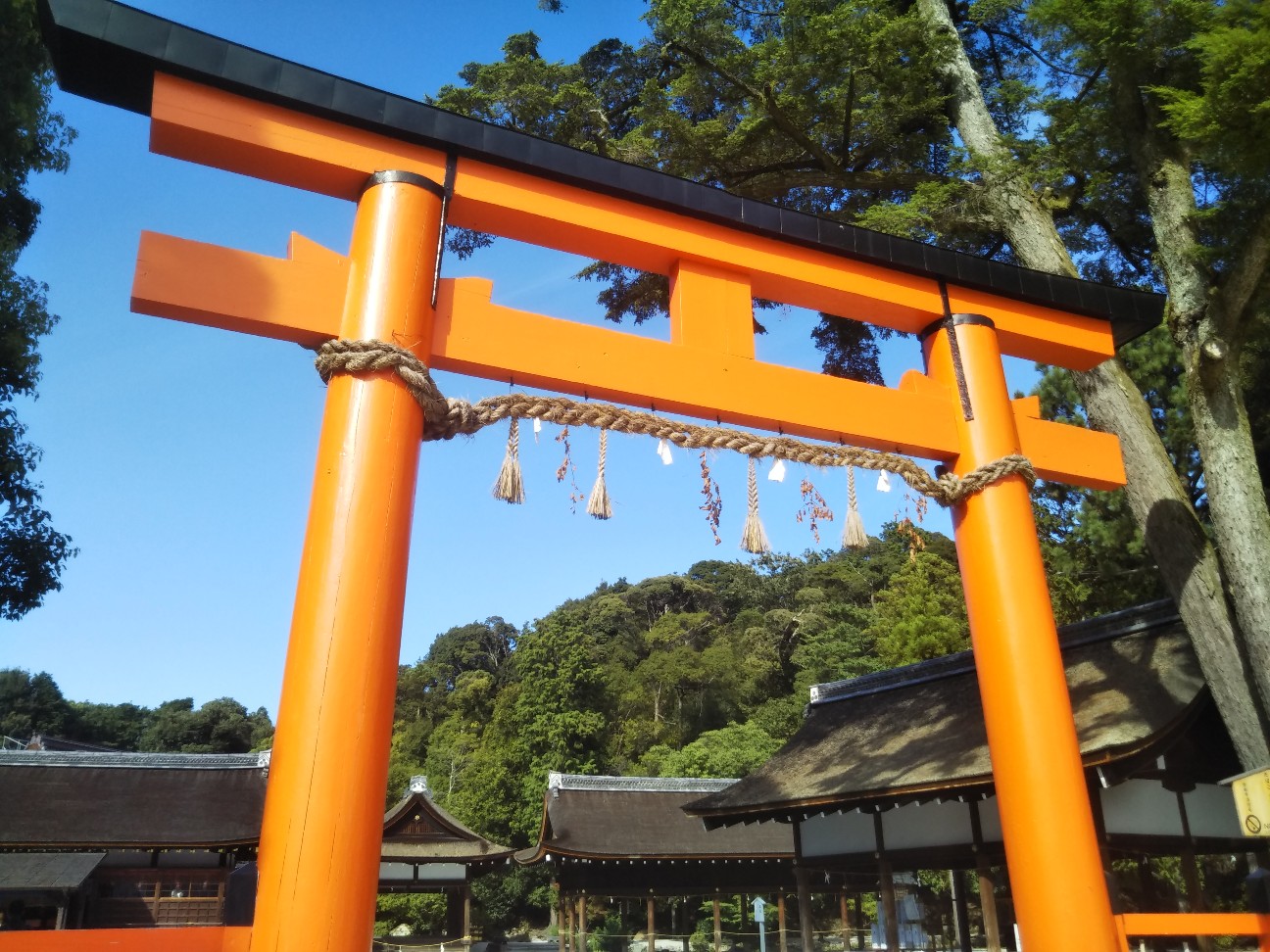 f:id:kaminavikyoto:20180908193005j:image f:id:kaminavikyoto:20180908193005j:image