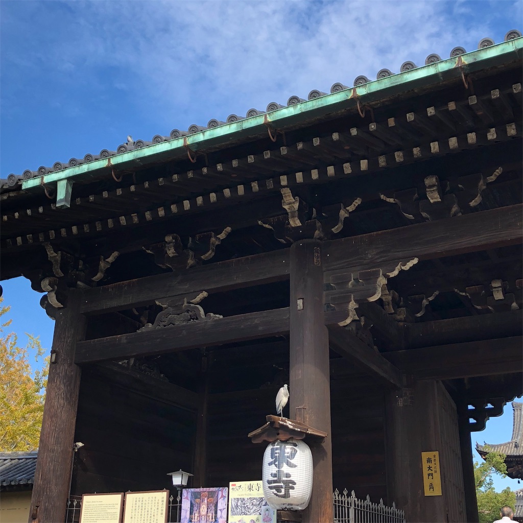 f:id:kaminnorin:20181103225540j:image