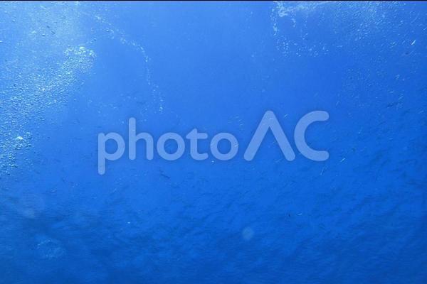 f:id:kamiou:20210505234611j:plain