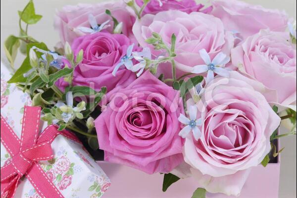 f:id:kamiou:20210514235133j:plain