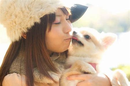 f:id:kamisamachang:20200430081742j:plain f:id:kamisamachang:20200430081742j:plain