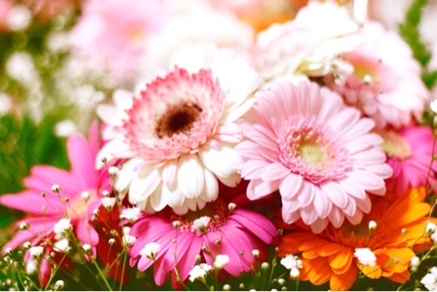 f:id:kamisamachang:20210627181506j:plain