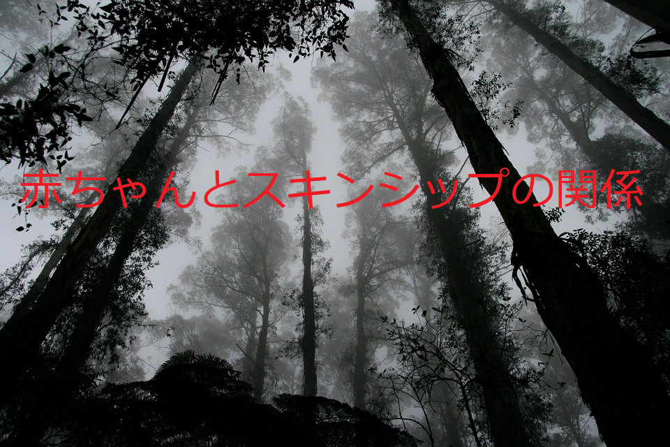 f:id:kamishioya:20201015212017p:plain