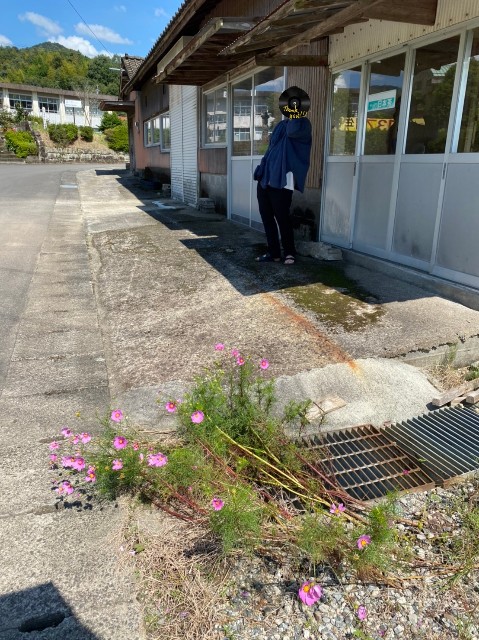 f:id:kamishioya:20201017125706j:image