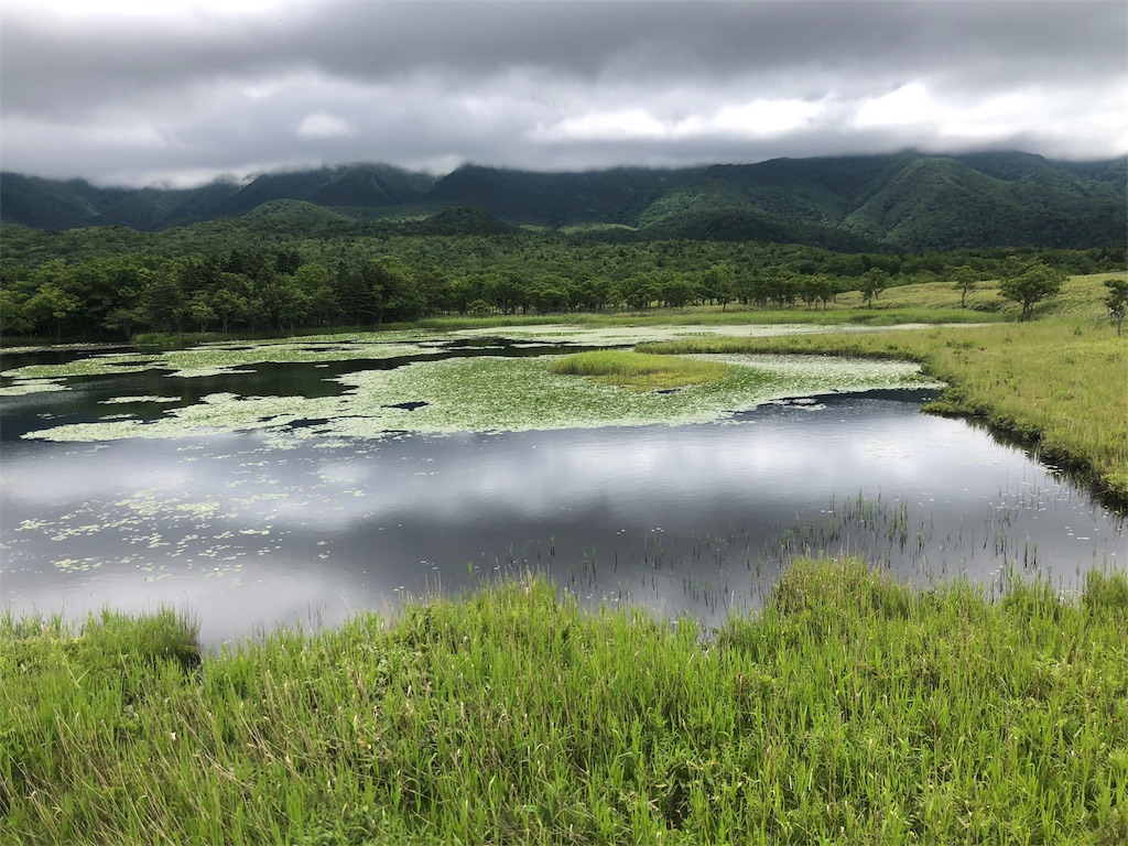 f:id:kamitanix:20190704114558j:image