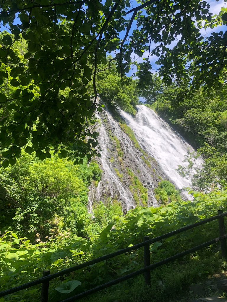 f:id:kamitanix:20190704114909j:image
