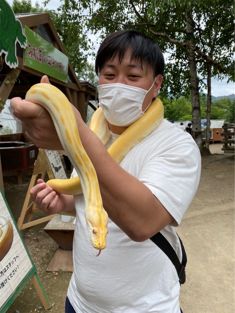 f:id:kamitanix:20210714101845j:image