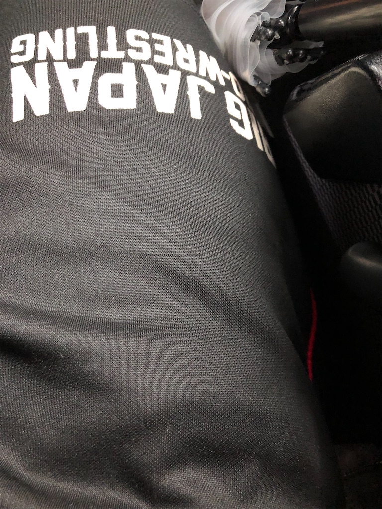 f:id:kamitanix:20221005101150j:image