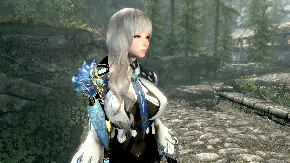 Skyrim Se Modを使って比較的簡単に美少女キャラを作成する手順 猫様の下僕姉弟の生活