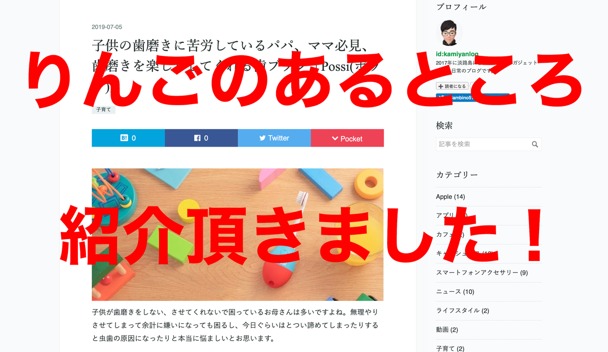 f:id:kamiyanlog:20200318110259j:plain