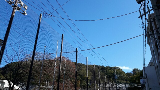 f:id:kamiyarintaro:20170205081755j:image