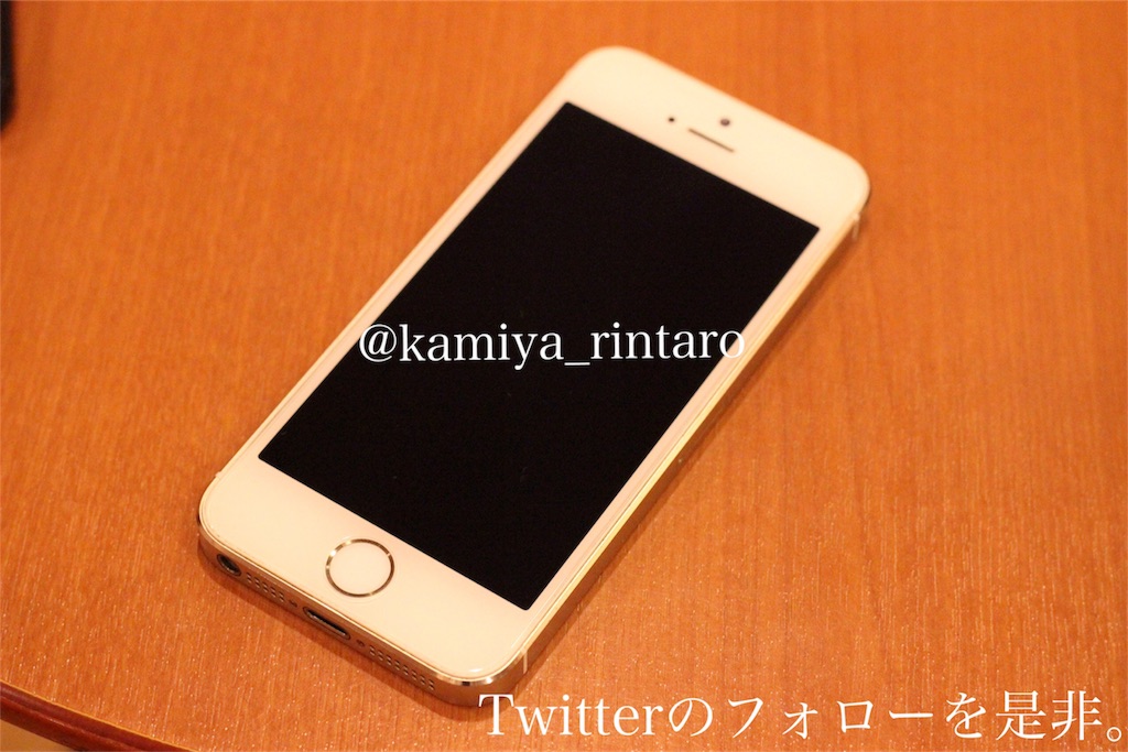 f:id:kamiyarintaro:20170217213058j:image