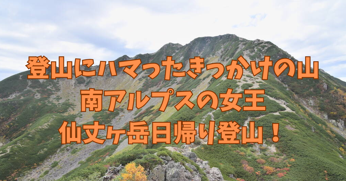 南アルプスの女王】仙丈ヶ岳日帰り登山 北沢峠発 藪沢小屋ルート