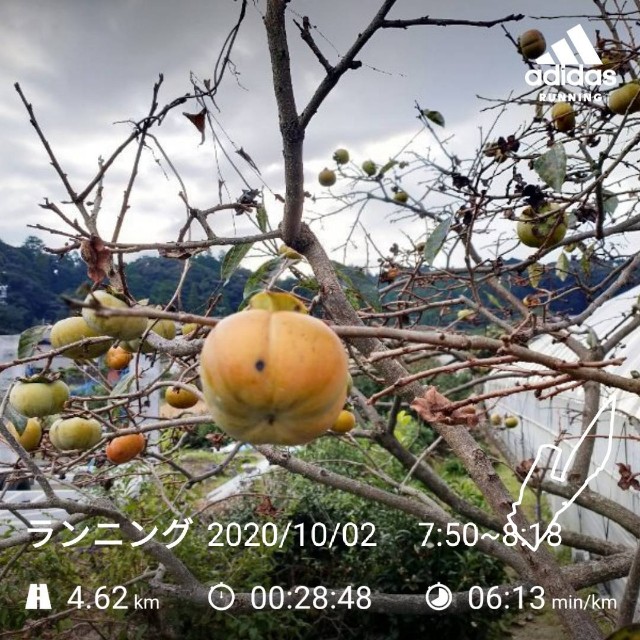 f:id:kamkamkamyu:20201007113830j:image f:id:kamkamkamyu:20201007113830j:image