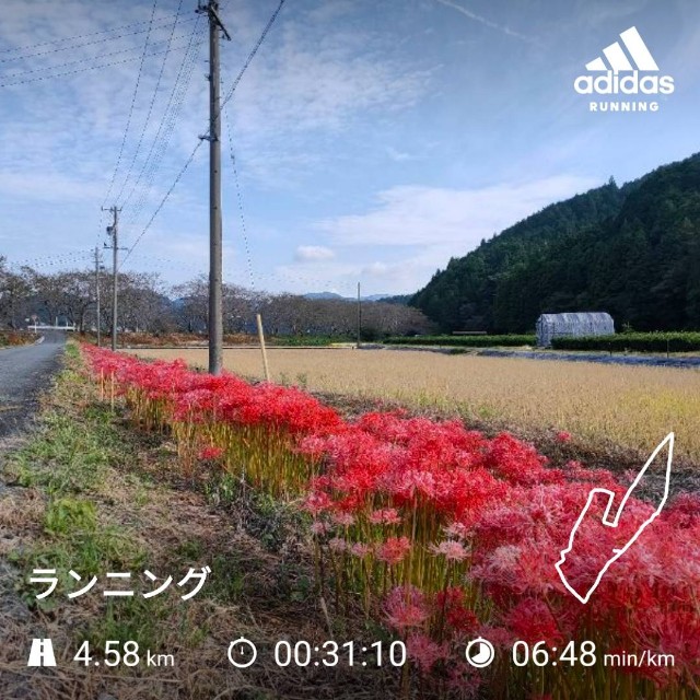 f:id:kamkamkamyu:20201007114040j:image f:id:kamkamkamyu:20201007114040j:image