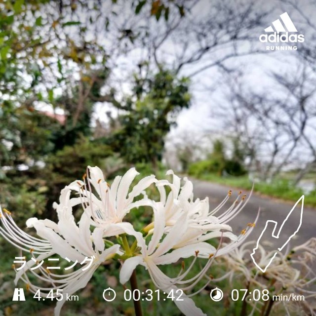 f:id:kamkamkamyu:20201007114925j:image f:id:kamkamkamyu:20201007114925j:image