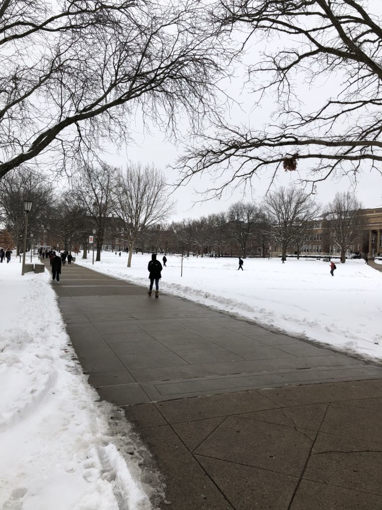 イリノイ大学での冬の乗り越え方 イリノイ大学留学記