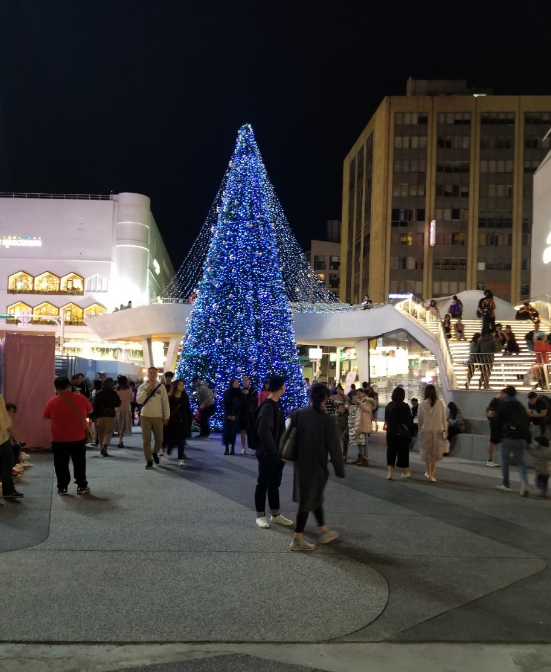 f:id:kamocyc:20191222113239p:plain