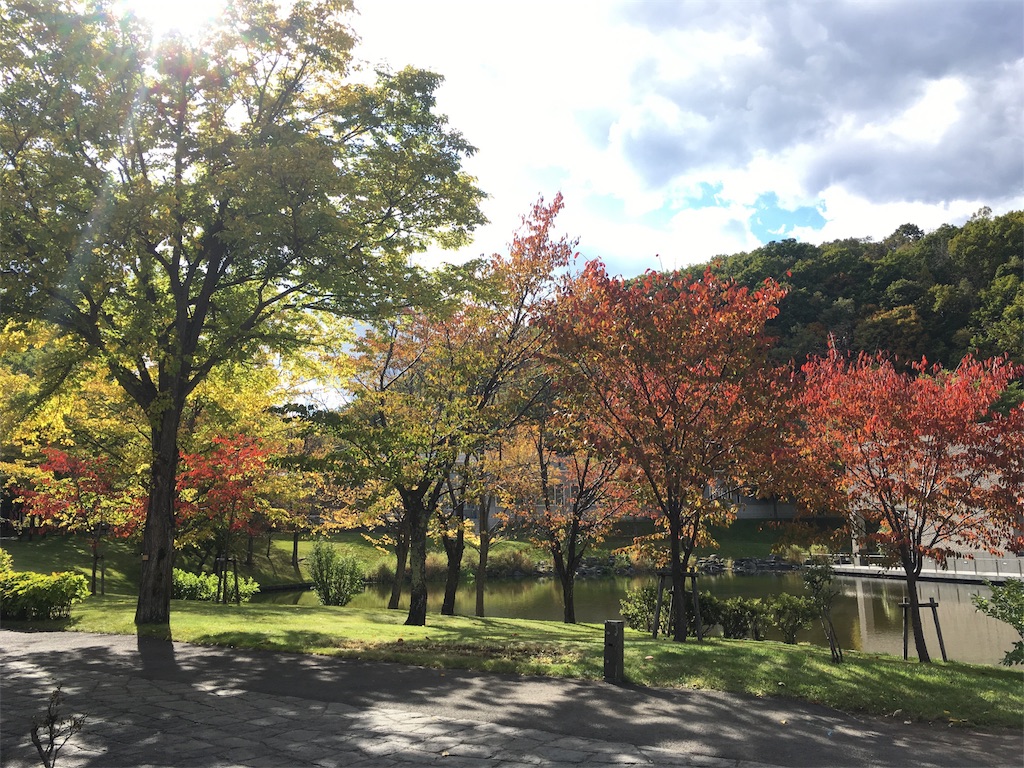 f:id:kamoi226:20180315024006j:image