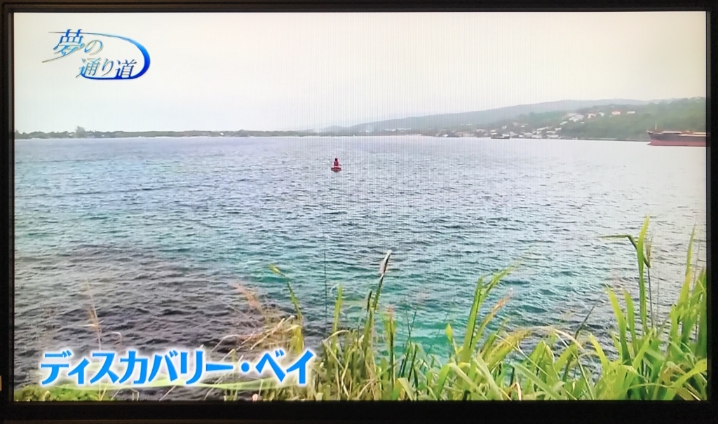 夢の通り道 コロンバス サークル Kamojimemo