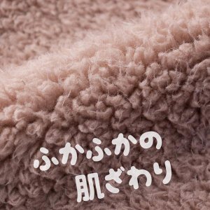 f:id:kamomako:20171116185352j:plain