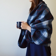 f:id:kamomako:20171119005432j:plain