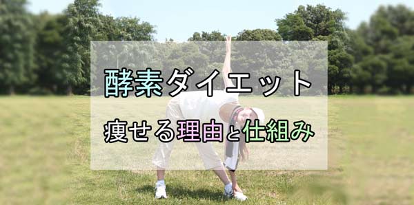 酵素ダイエットが痩せる理由・仕組み【デメリット・落とし穴】