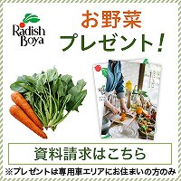 f:id:kamomako:20181205160505j:plain