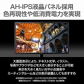 iiyama液晶ディスプレイ X3291HS-B1