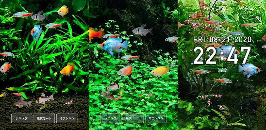 熱帯魚育成「ミニアクア」癒しのアクアリウム体験