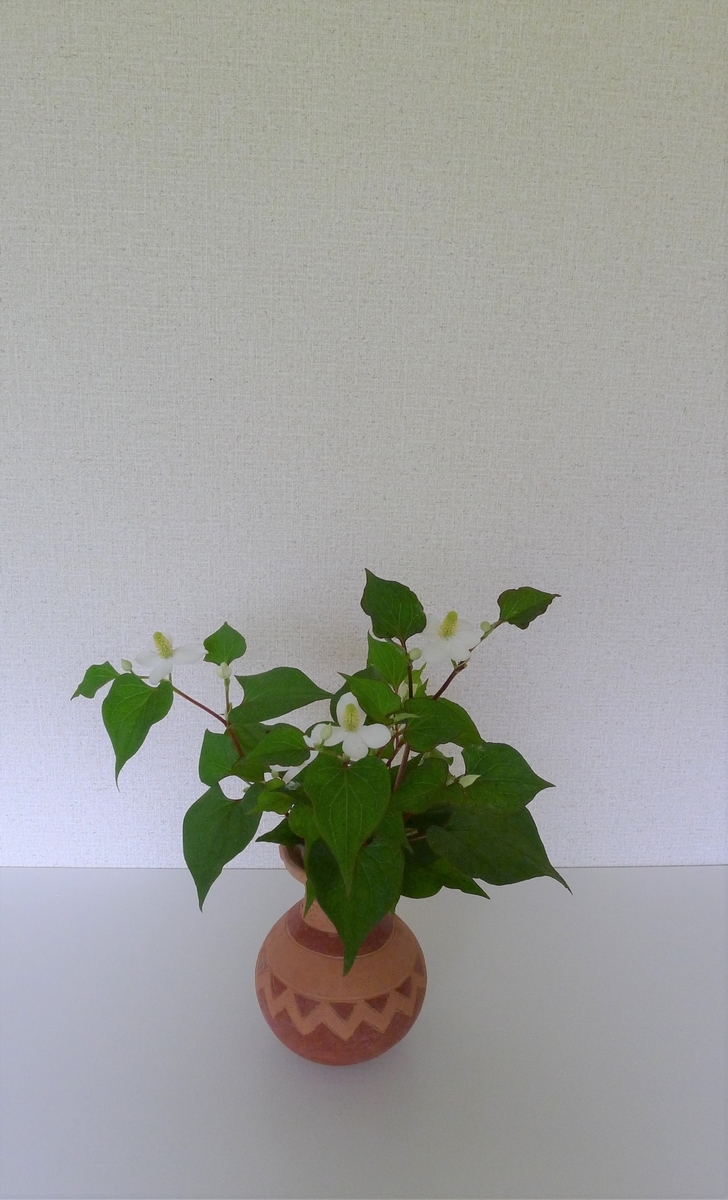 f:id:kamome1980:20200527201357j:plain