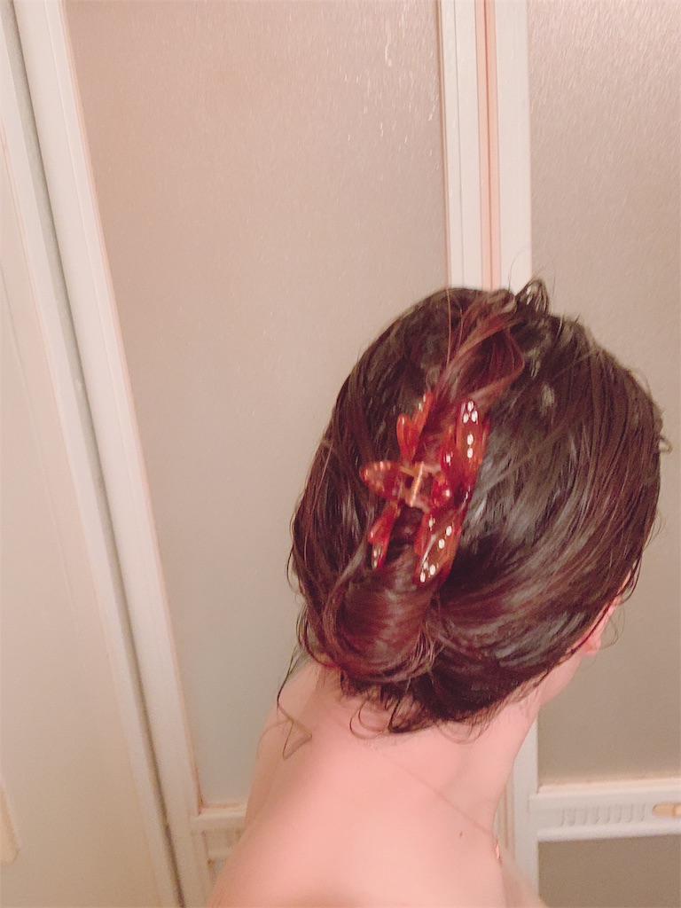 f:id:kamome_mother:20190515110356j:image f:id:kamome_mother:20190515110356j:image