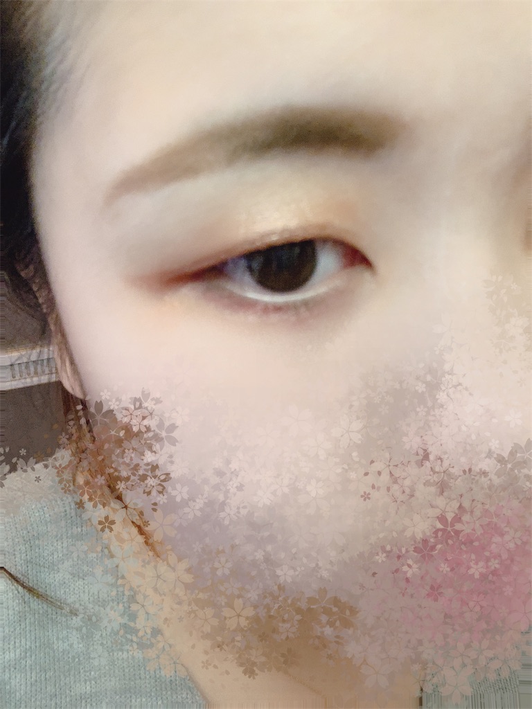 f:id:kamome_mother:20190611152453j:image f:id:kamome_mother:20190611152453j:image