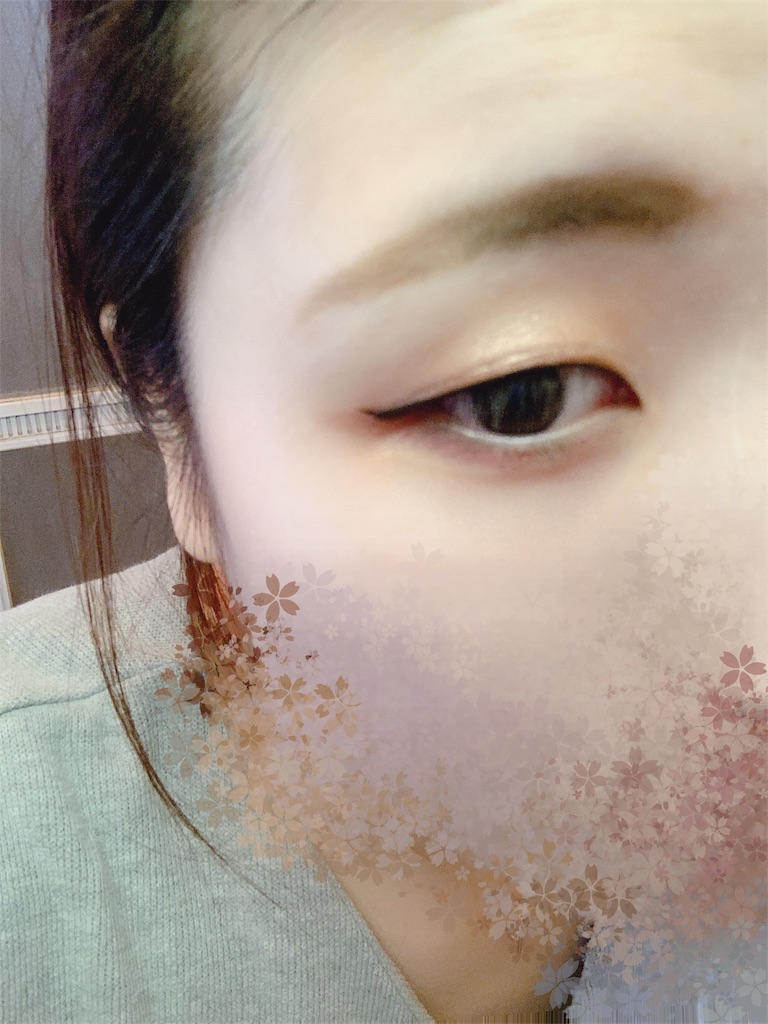 f:id:kamome_mother:20190611152705j:image f:id:kamome_mother:20190611152705j:image