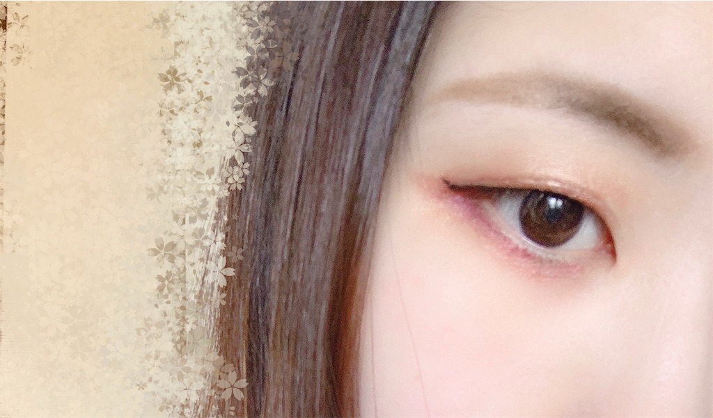 f:id:kamome_mother:20190611152735j:image f:id:kamome_mother:20190611152735j:image