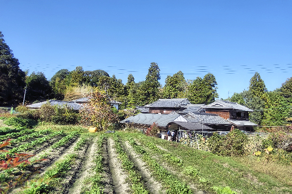 f:id:kamomedensha:20200329082708j:plain f:id:kamomedensha:20200329082708j:plain