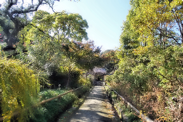 f:id:kamomedensha:20200329092220j:plain f:id:kamomedensha:20200329092220j:plain