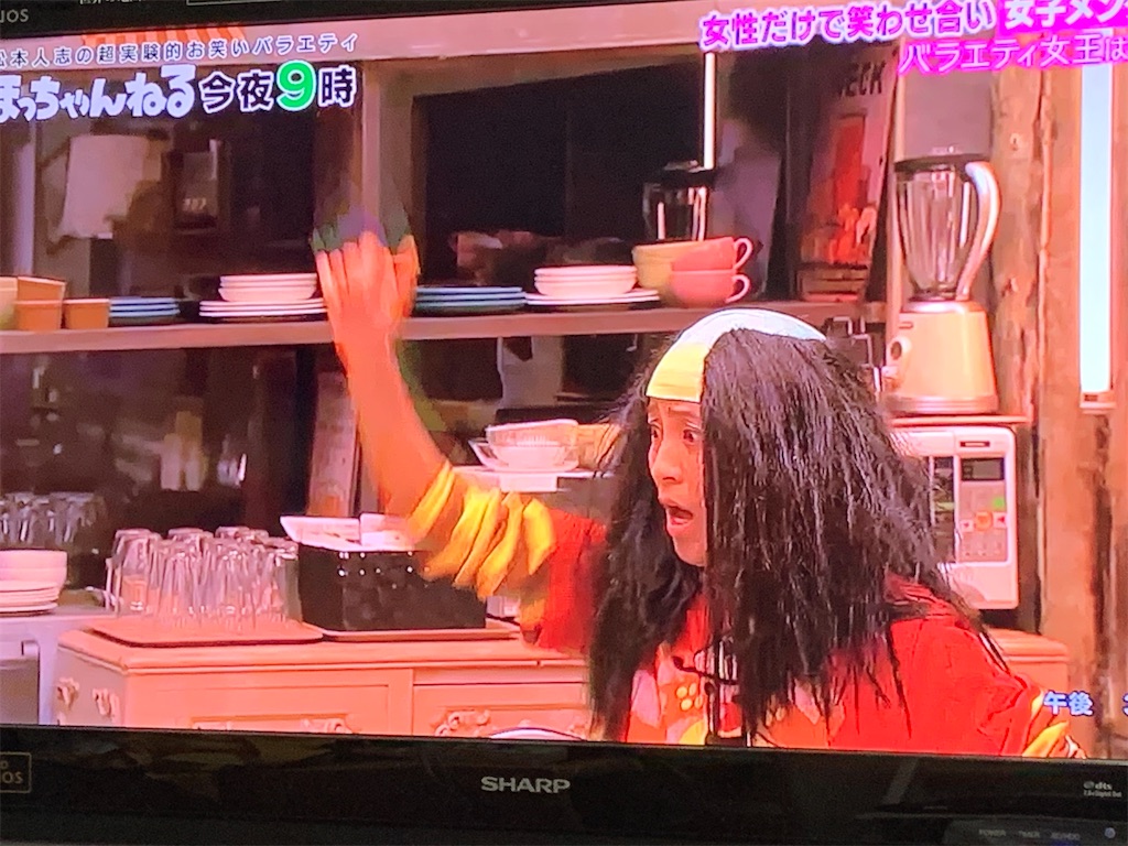 f:id:kamomehage:20210620152510j:image