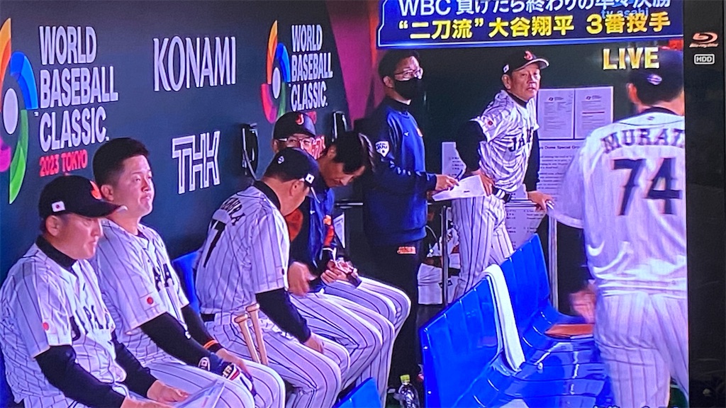 f:id:kamomehage:20230316185904j:image