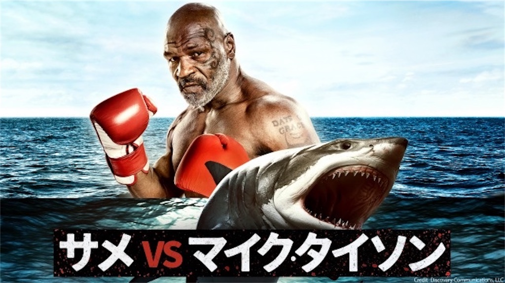 f:id:kamomehage:20230420231255j:image