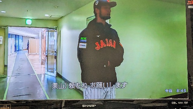 f:id:kamomehage:20230713084552j:image