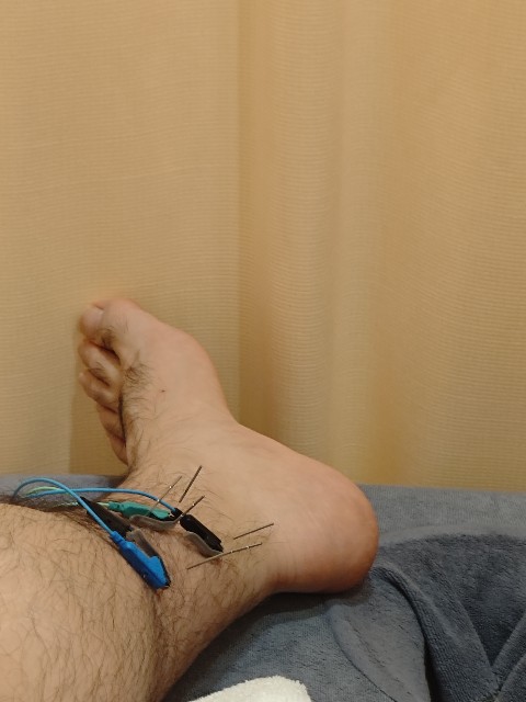 f:id:kamomehage:20251117072541j:image