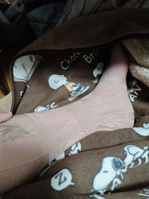 f:id:kamomehage:20251117072547j:image