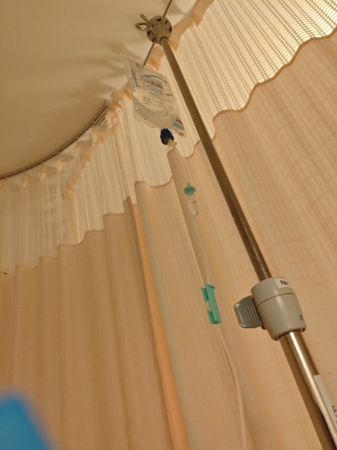 f:id:kamomehage:20251118162007j:image